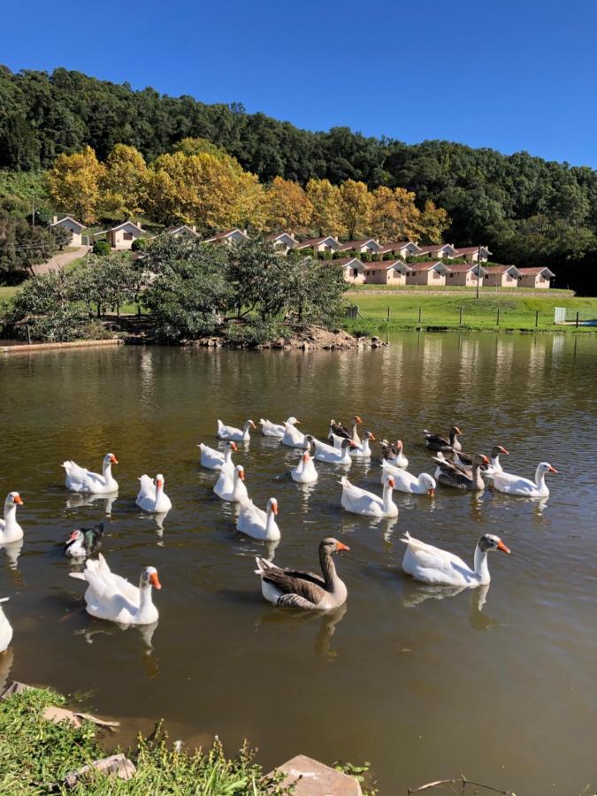 Pousada Parque Das Pitangueiras Флорес да Куня Екстериор снимка
